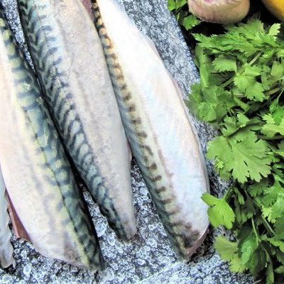 MACKEREL-sans-tete3
